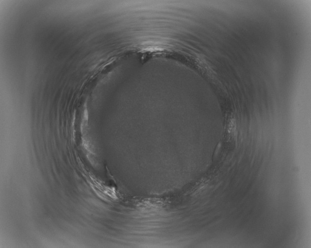 X0000078870868200611271258
