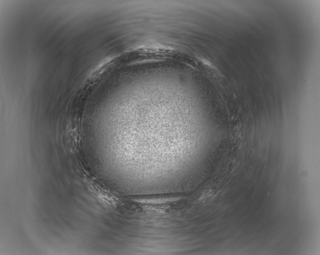 X0000078870870200611271258
