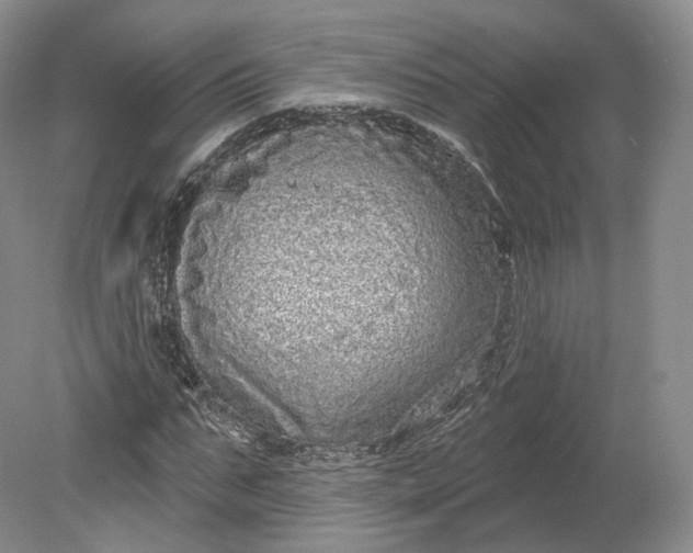 X0000078870871200611271258