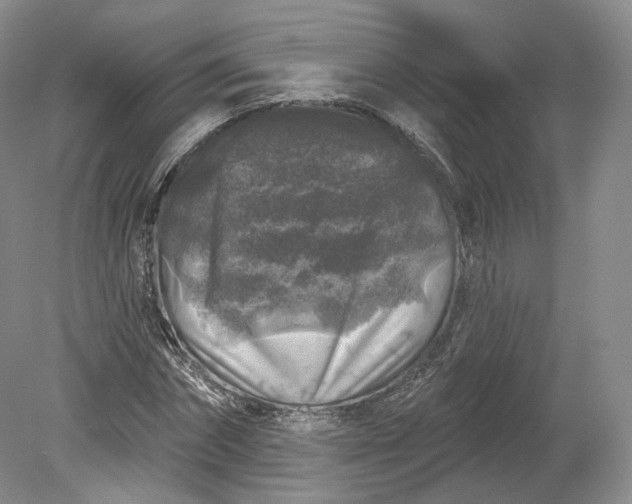 X0000078870874200611271258