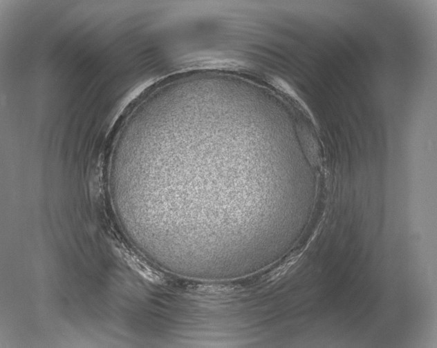 X0000078870875200611271258