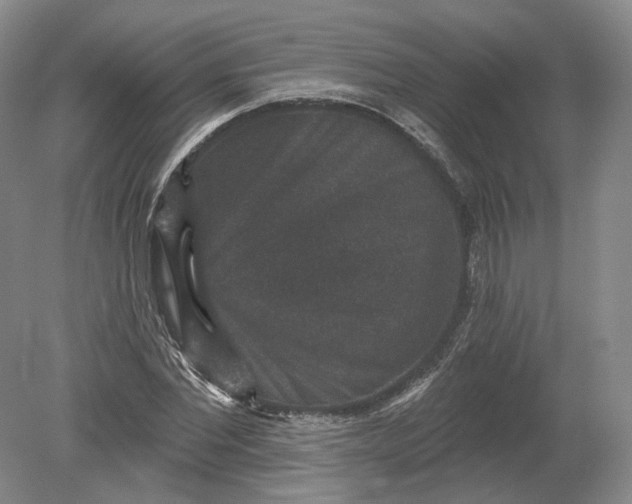 X0000078870877200611271258