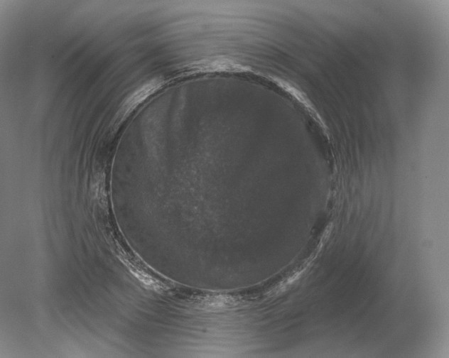 X0000078870881200611271258