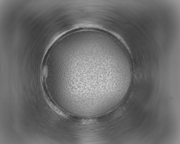 X0000078870887200611271258