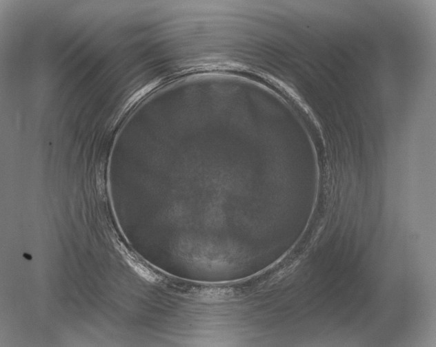 X0000078870889200611271258