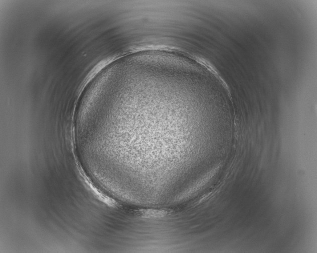 X0000078870890200611271258