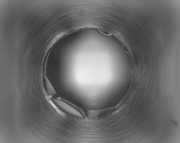 X0000078870898200611271258