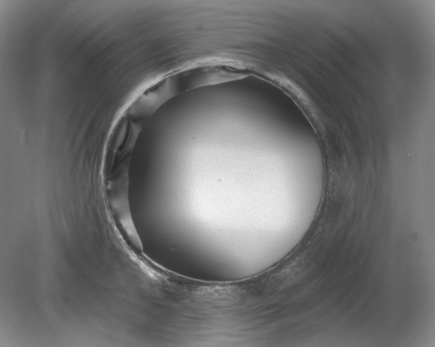X0000078870902200611271258