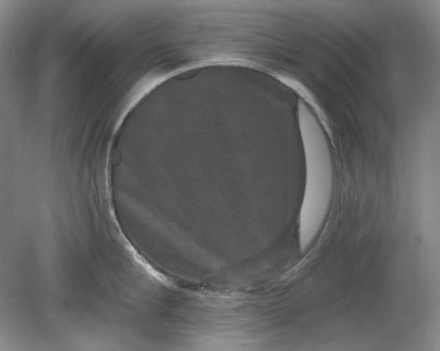 X0000078870910200611271257
