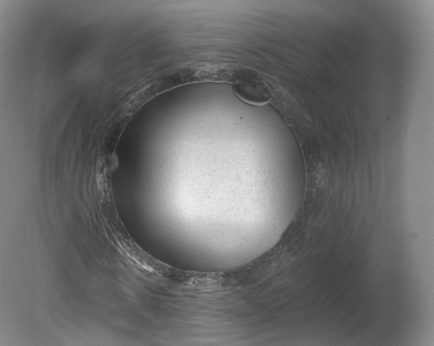 X0000078870914200611271257