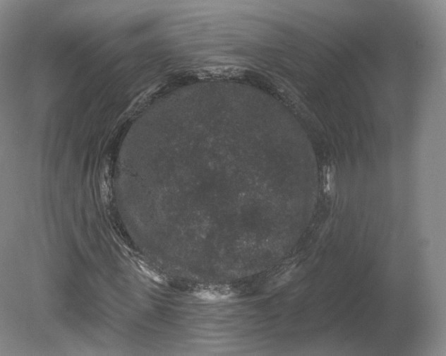 X0000078870915200611271257