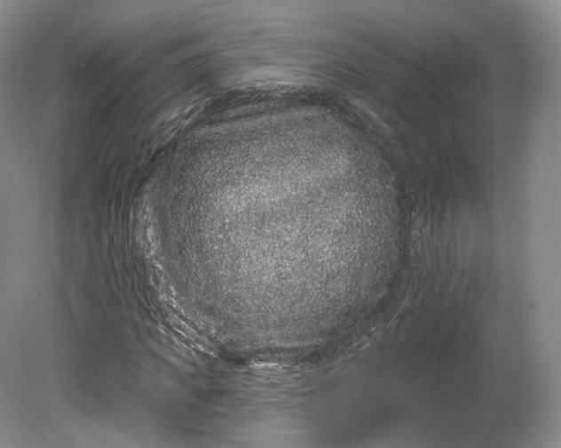 X0000078870917200611271257