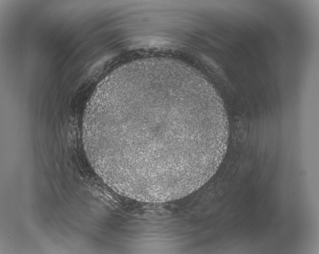 X0000078870918200611271257