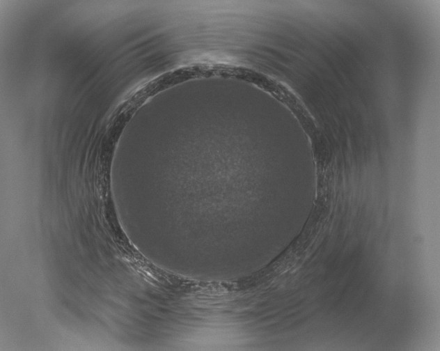 X0000078870919200611271257