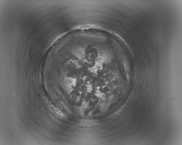X0000078870921200611271257