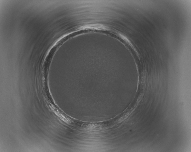 X0000078870923200611271257