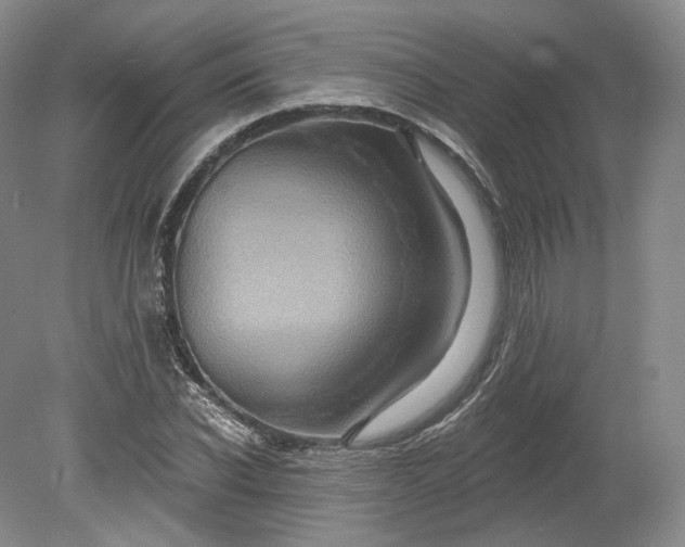 X0000078870926200611271257