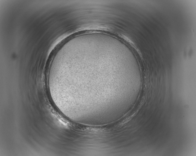 X0000078870928200611271257