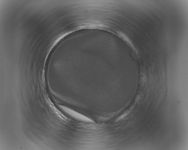 X0000078870932200611271257