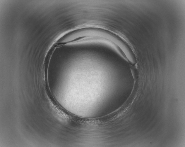 X0000078870934200611271257