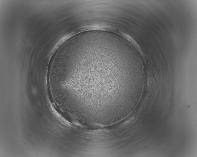 X0000078870938200611271257