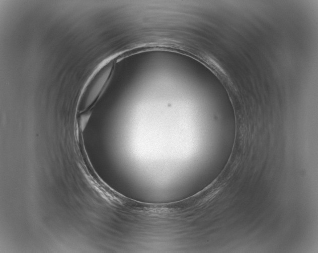 X0000078870940200611271257