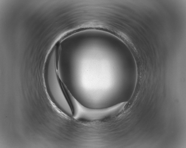 X0000078870942200611271257
