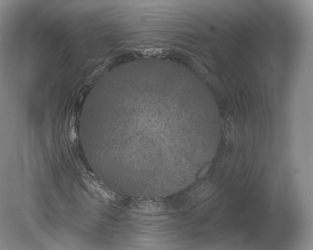 X0000078870962200611271257