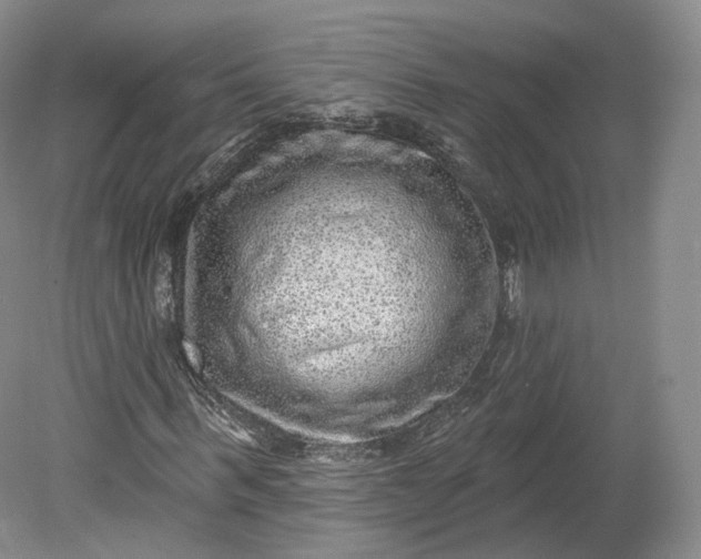 X0000078870963200611271257