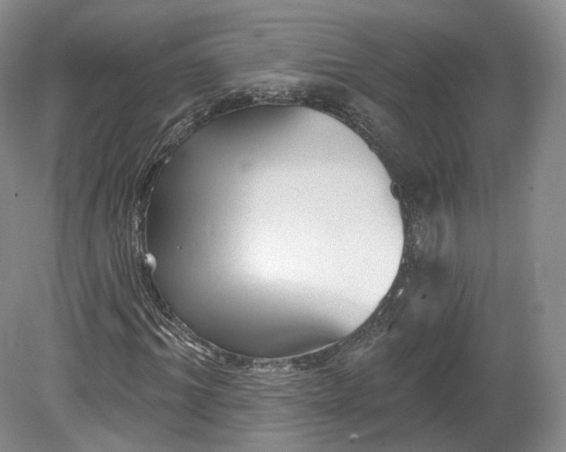 X0000078870964200611271257
