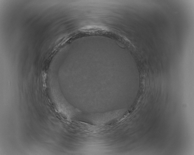X0000078870965200611271257