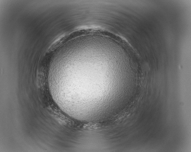 X0000078870967200611271256
