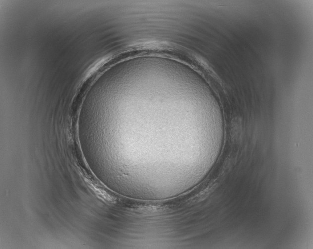 X0000078870970200611271256