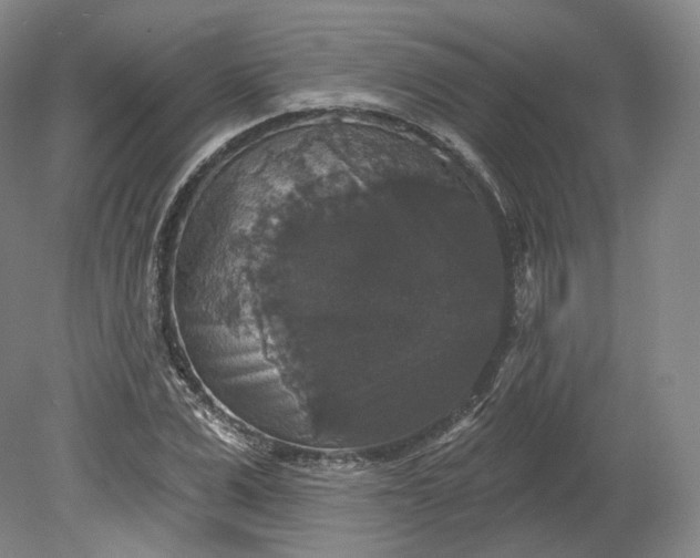 X0000078870975200611271256