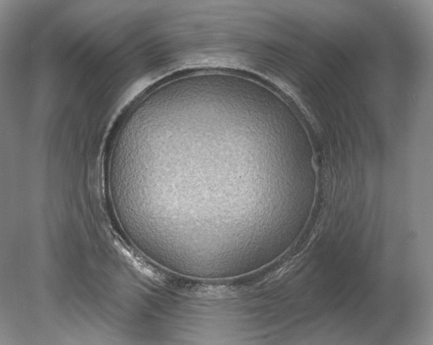 X0000078870982200611271256