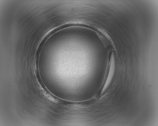 X0000078870984200611271256