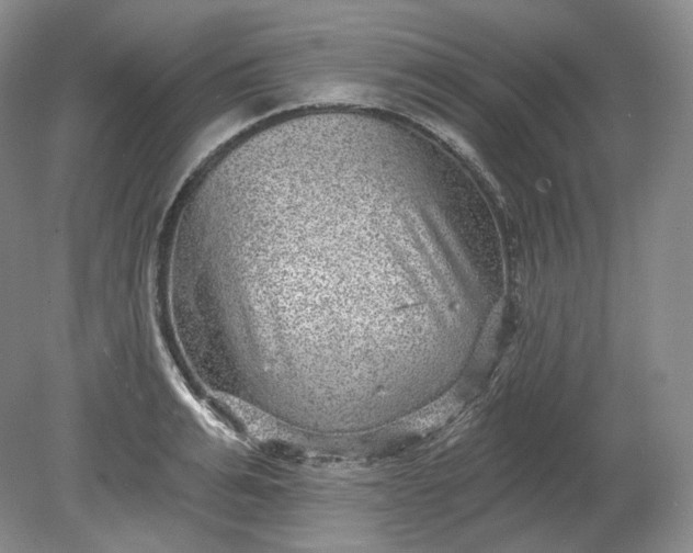 X0000078870991200611271256