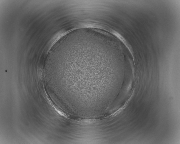 X0000078870993200611271256