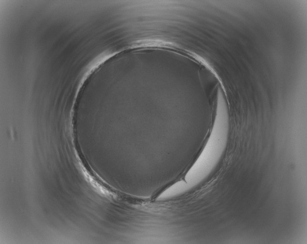 X0000078870995200611271256