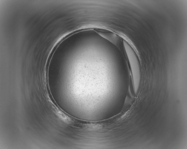 X0000078870996200611271256