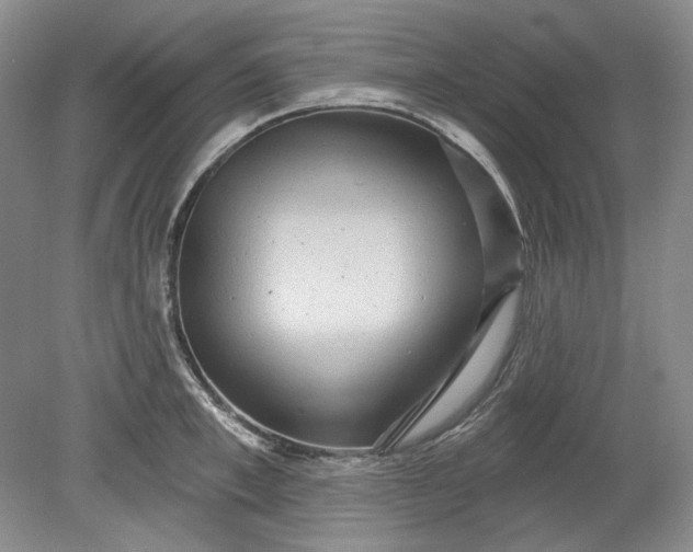 X0000078870997200611271256