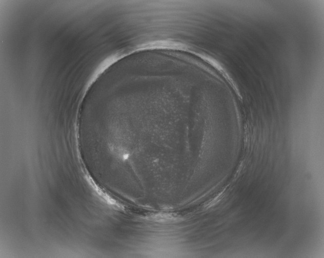 X0000078870998200611271256