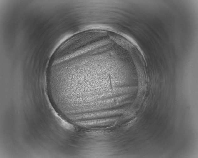 X0000078870999200611271256