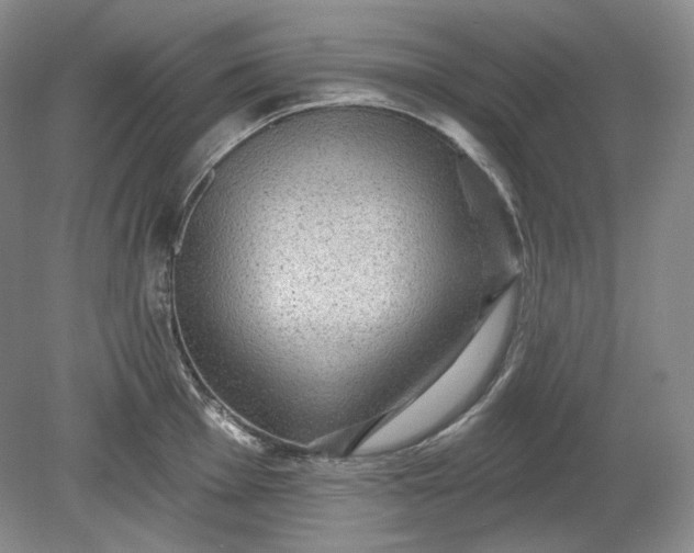 X0000078871001200611271256