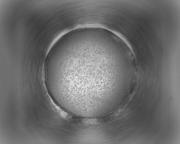 X0000078871006200611271256