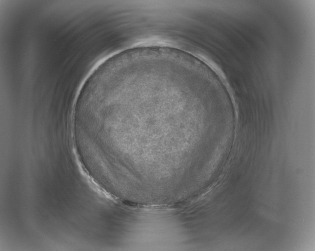 X0000078871008200611271256
