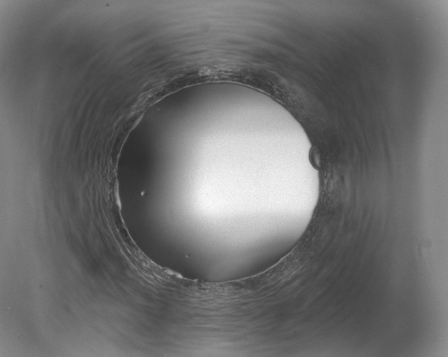 X0000078871012200611271255