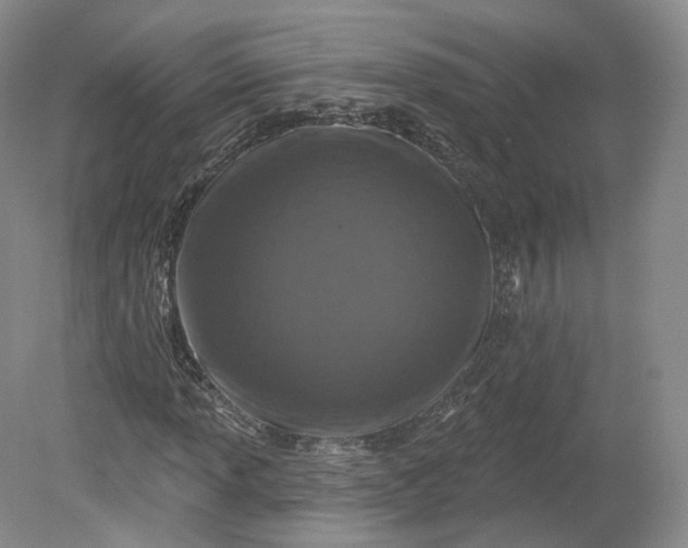 X0000078871013200611271255