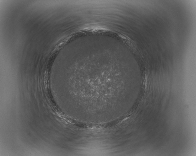 X0000078871014200611271255