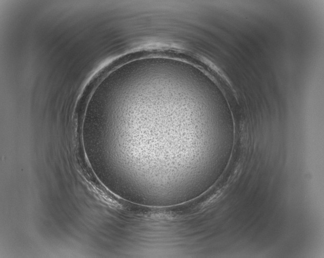 X0000078871021200611271255
